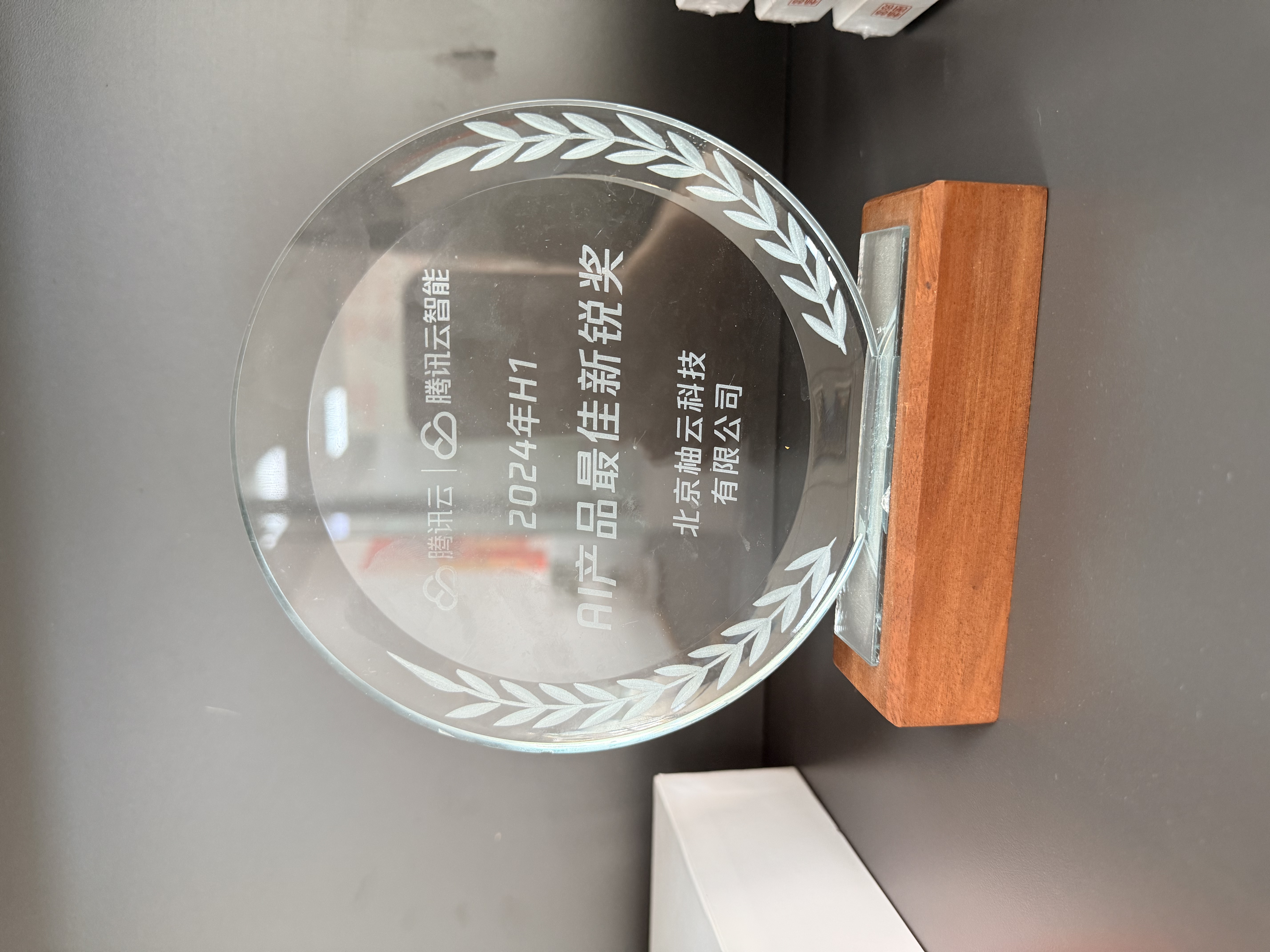 2024 AI产品最佳新锐奖